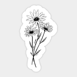 Daisies Sticker